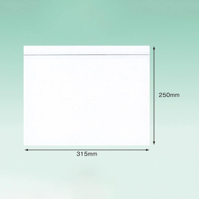 パピルスカンパニー 伝票袋　デリバリーパック A4サイズ用 PA-004T 1束（ご注文単位10束）【直送品】