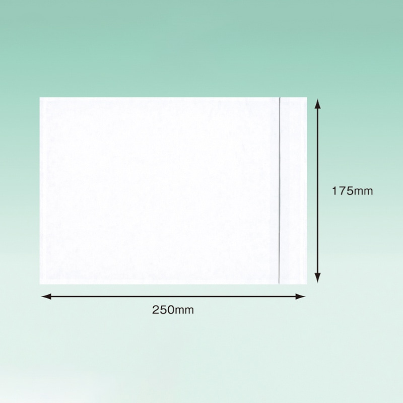 パピルスカンパニー 伝票袋 デリバリーパック A5サイズ用 PA-005T 100枚/束