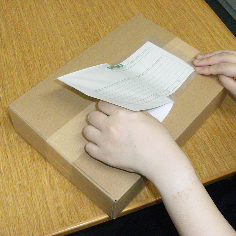 パピルスカンパニー 伝票袋 デリバリーパック 完全密封タイプ 長4 PA-013T 100枚/束