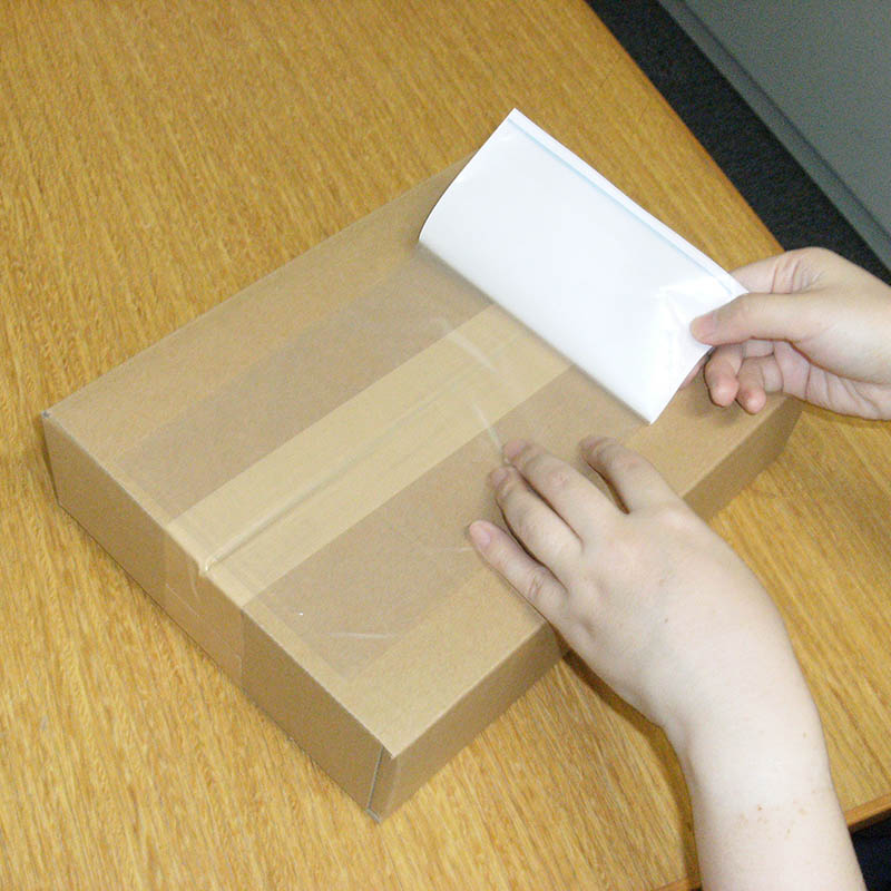 パピルスカンパニー 伝票袋 デリバリーパック ポケットタイプ 長3 PA-016T 100枚/束