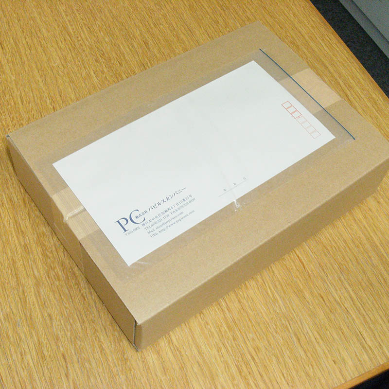 パピルスカンパニー 伝票袋 デリバリーパック ポケットタイプ 長3 PA-016T 100枚/束