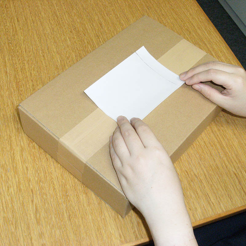 パピルスカンパニー 伝票袋 デリバリーパック A7サイズ用 PA-017T 100枚/束