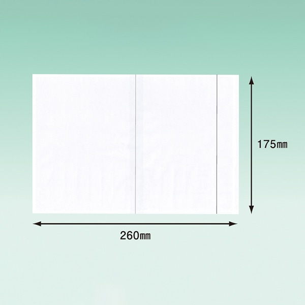 パピルスカンパニー 伝票袋 デリバリーパック 4方溶着タイプ 上PEスリット A5 PA-055T 1束(ご注文単位10束)【直送品】