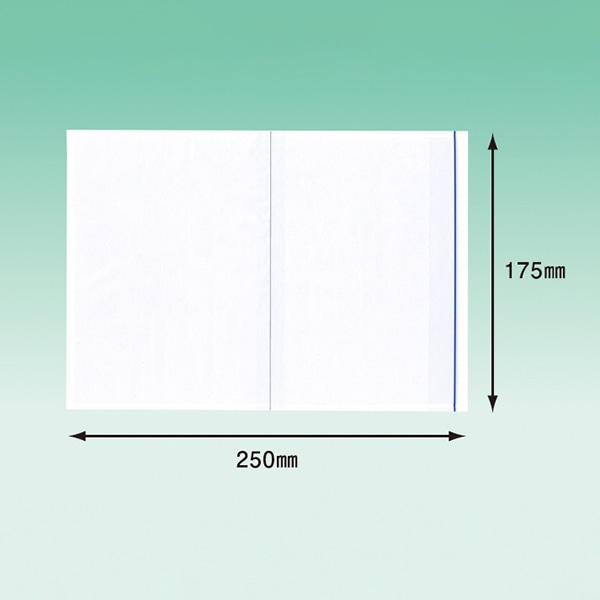 パピルスカンパニー 伝票袋 デリバリーパック ポケットタイプ A5サイズ PA-058T 100枚/束