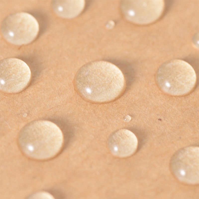 ストリックスデザイン 未晒ペーパープレート 15cm 50枚入 SD-103A 1束（ご注文単位48束）【直送品】