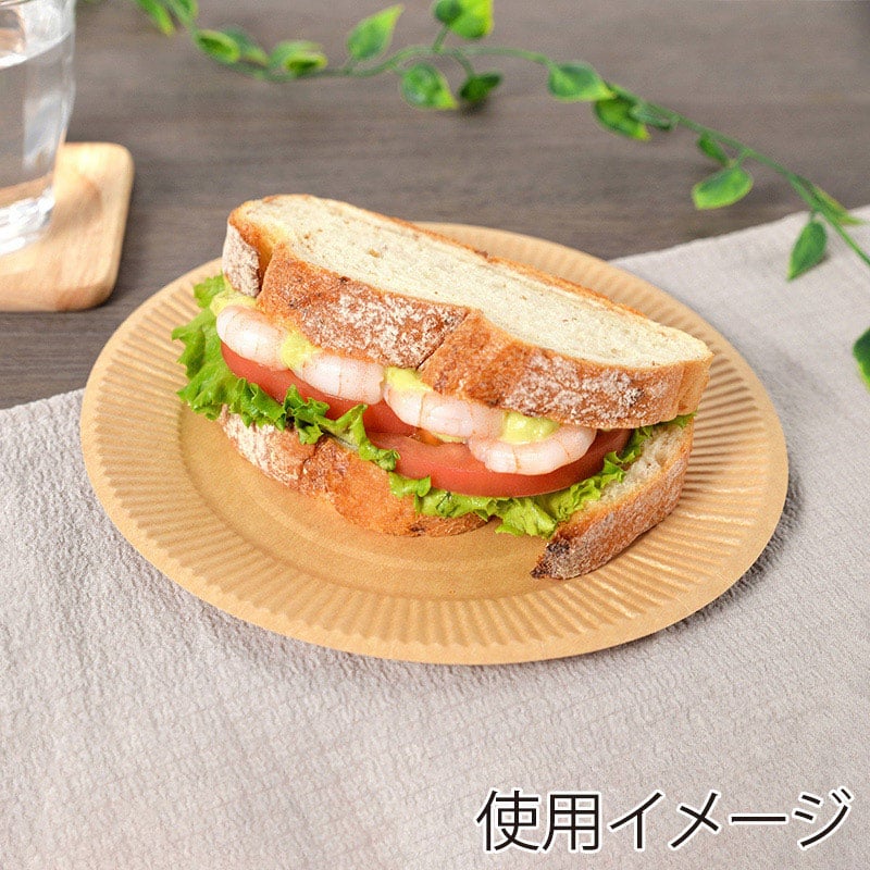 ストリックスデザイン 未晒ペーパープレート 18cm 50枚入 SD-104A 1束（ご注文単位48束）【直送品】