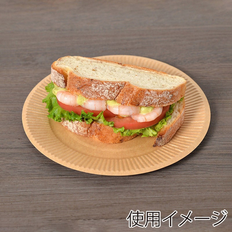 ストリックスデザイン 未晒ペーパープレート 18cm 50枚入 SD-104A 1束（ご注文単位48束）【直送品】