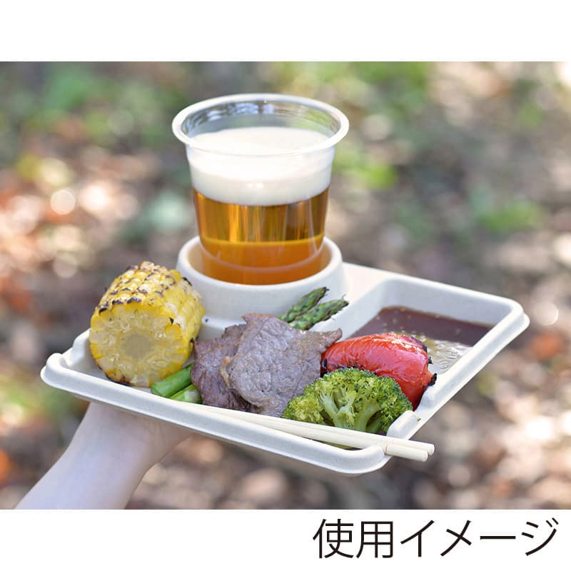 ストリックスデザイン ドリンクも一緒に持ちやすい仕切付きプレート 未晒バガス 5枚入 SD-225 1束(ご注文単位60束)【直送品】