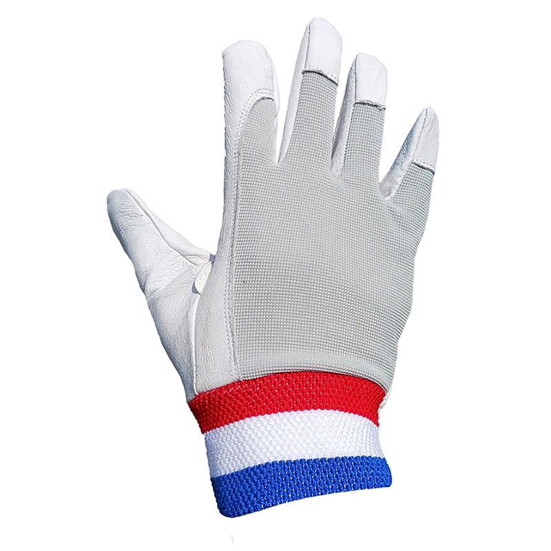 ジェイワークスプランニング 豚革手袋 甲ポリエステル L JWG-010 1組（ご注文単位10組）【直送品】