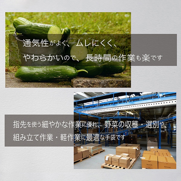 ジェイワークスプランニング スベリ止め付 軽作業用手袋 S ブラック 5双組 JK-082-5P 1袋（ご注文単位1袋）【直送品】