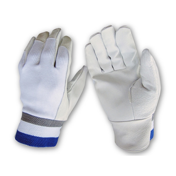 ジェイワークスプランニング 豚革手袋 甲メリヤス M JWG-011 1組（ご注文単位10組）【直送品】