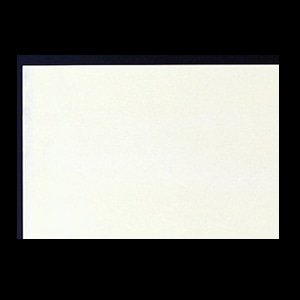 若泉漆器 和紙マット 紅葉敷紙  1-138-13 20枚/束（ご注文単位1束）【直送品】