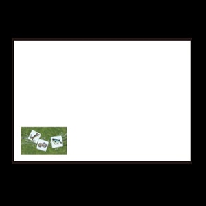 若泉漆器 尺3寸長手 テーブルマット 海鮮 オールシーズン B-19-95 100枚/束（ご注文単位1束）【直送品】