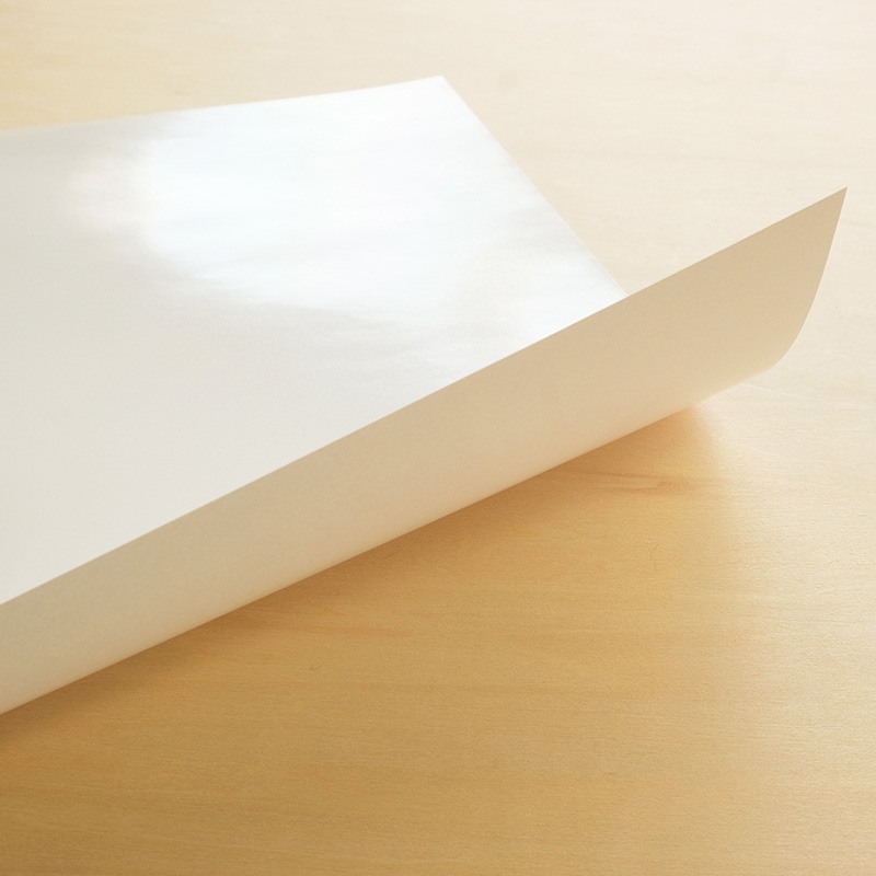 欧文印刷 ホワイトボードマーカー用シート 消せる紙 A3判 無地 8枚 PNCGSA3W08 1束(ご注文単位1束)【直送品】