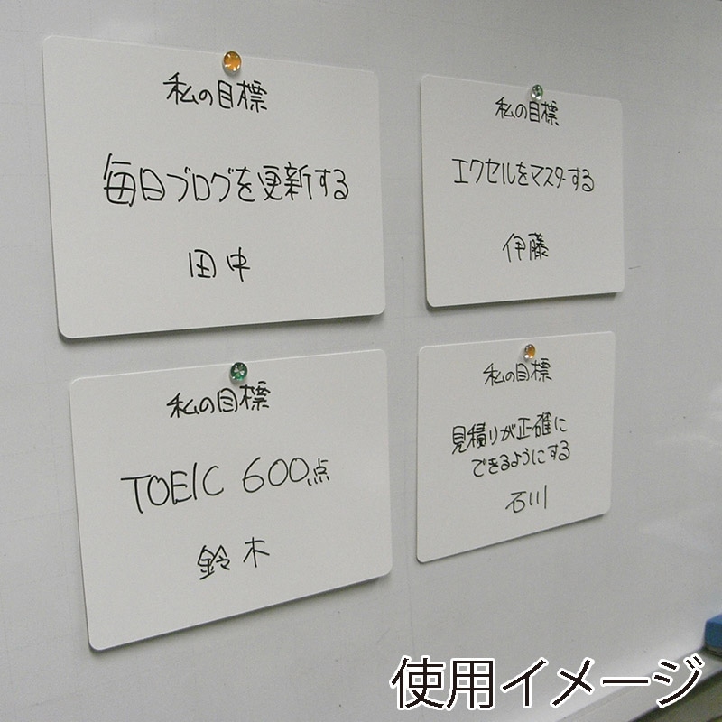 欧文印刷 紙製薄型ホワイトボード A4　10枚入 UBNGWA4W10 1束（ご注文単位1束）【直送品】