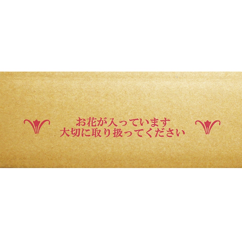 マッセ 宅配ボックス　上開きタイプ アレンジ　L 73113 1枚（ご注文単位30枚）【直送品】