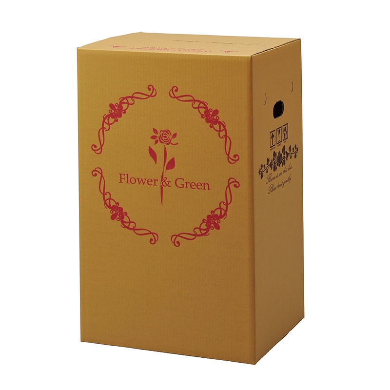 マッセ 宅配ボックス 横開きタイプ 鉢物用 P-2 1枚(ご注文単位25枚)【直送品】