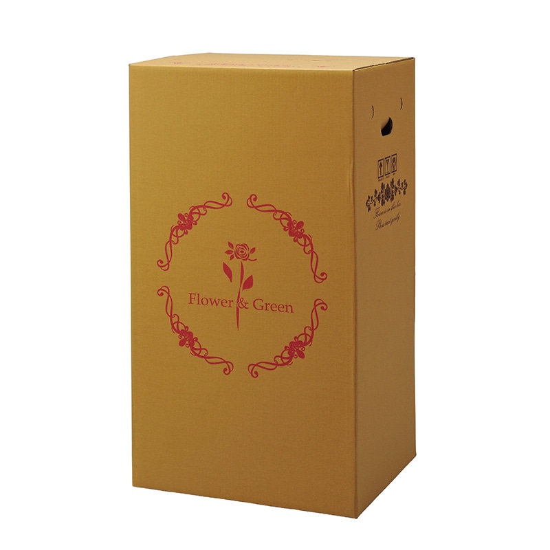 マッセ 宅配ボックス 横開きタイプ 鉢物用 P-3 1枚(ご注文単位15枚)【直送品】