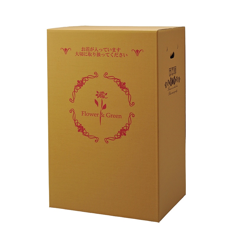 マッセ 宅配ボックス 横開きタイプ 大型蘭用 P-8 1枚(ご注文単位10枚)【直送品】