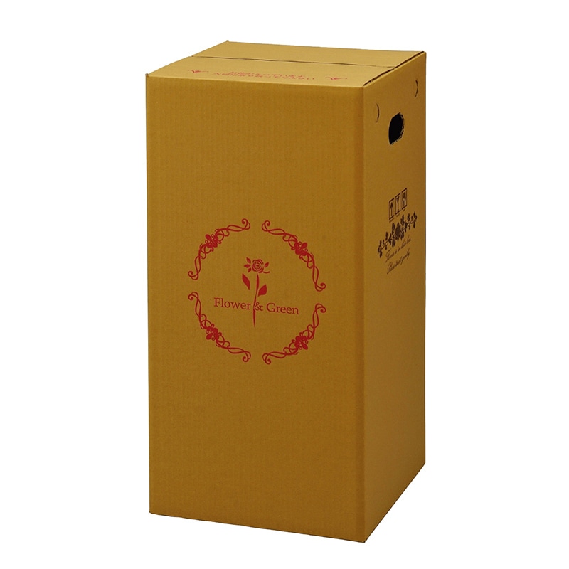 マッセ 宅配ボックス 横開きタイプ 鉢物・蘭用 P-5 1枚(ご注文単位10枚)【直送品】