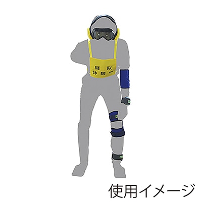 高齢者疑似体験教材 スタンダード2 00276669 1個(ご注文単位1個)【直送品】