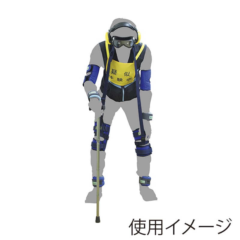 高齢者疑似体験 エキスパートセット3 00276675 1個(ご注文単位1個)【直送品】