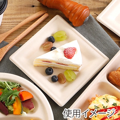 チェーンストリーム 紙皿 バガスプレート スクエア 15cm 1箱(ご注文単位1箱)【直送品】