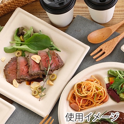 チェーンストリーム 紙皿 バガスプレート スクエア 20cm 1箱(ご注文単位1箱)【直送品】