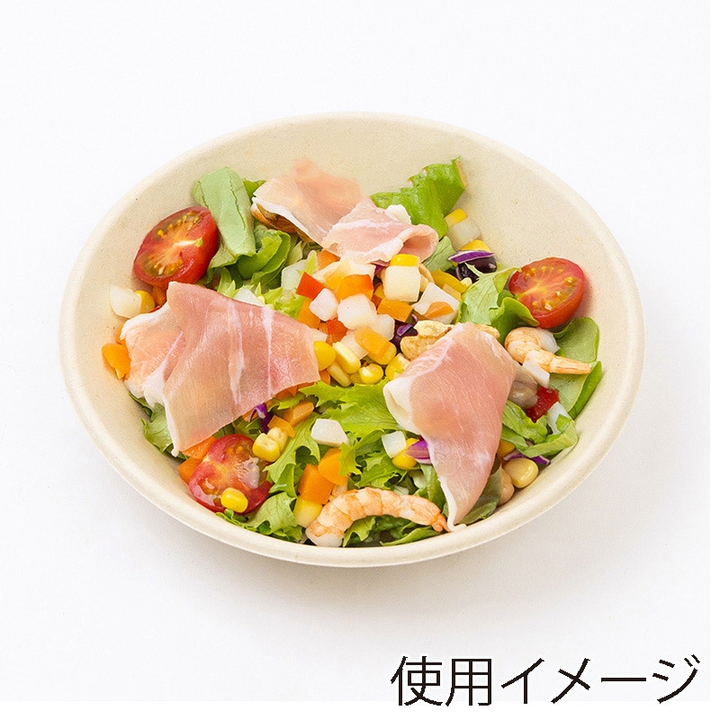 チェーンストリーム 紙皿 バガス浅ボウル 680ml 1箱(ご注文単位1箱)【直送品】