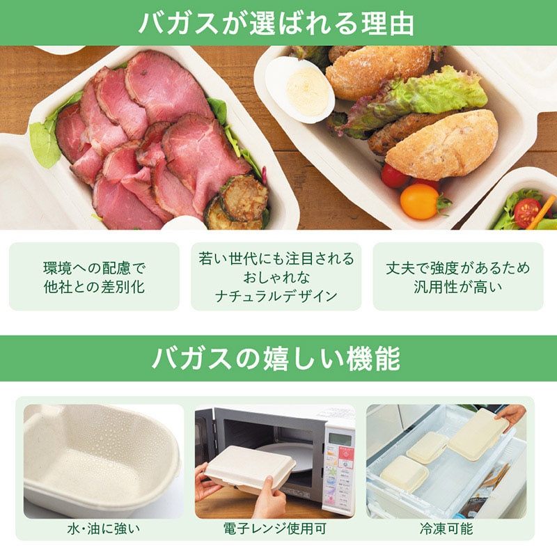 チェーンストリーム 弁当容器 バガススクエアコンテナ ラミ加工 1箱(ご注文単位1箱)【直送品】