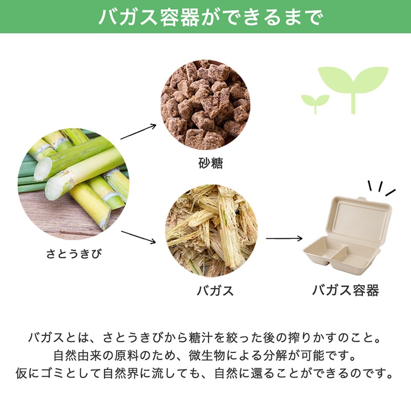 チェーンストリーム 弁当容器 バガスランチボックス ラミ加工 850ml 仕切り付き 1箱(ご注文単位1箱)【直送品】