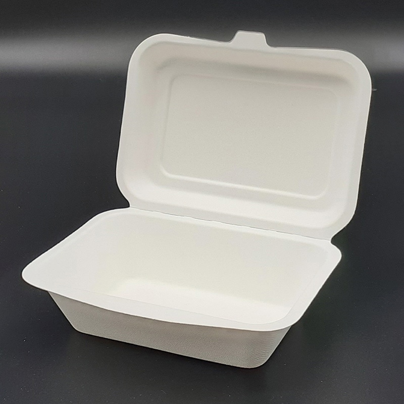 ダイモン エコ容器　サトウキビフードパック Medium　withPLA AGS-05 50枚/袋 （ご注文単位10袋）【直送品】