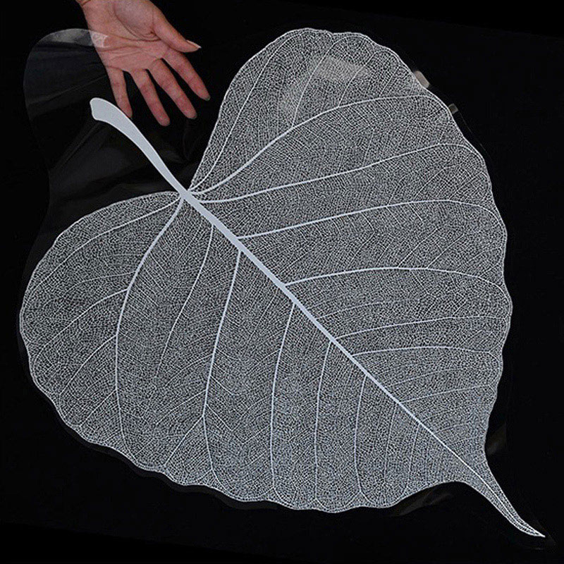 秦貴 ラッピングフィルム 葉の囁き No.1 ホワイト 1束(ご注文単位1束)【直送品】