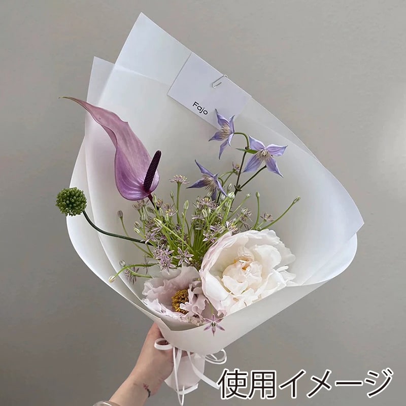 秦貴 ラッピングペーパー フローズン 57cm×15m ホワイト No.1 1本（ご注文単位1本）【直送品】