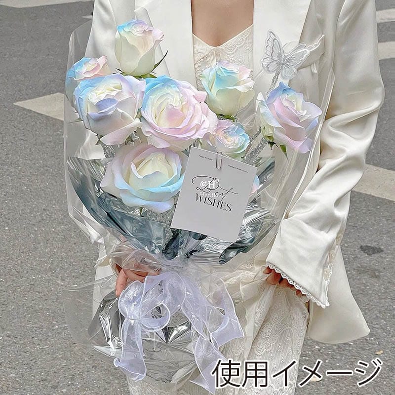 秦貴 ラッピングフィルム キラそら 65cm×15m シルバー stkzj01 1本(ご注文単位1本)【直送品】