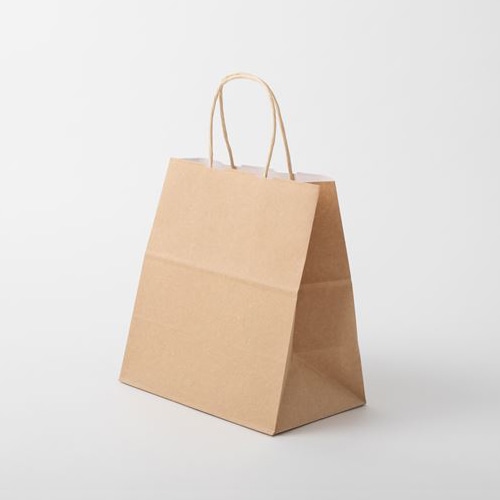 星野 キャリーバッグ　WK-S #2　ブラウン 314108 100枚/束（ご注文単位1束）【直送品】