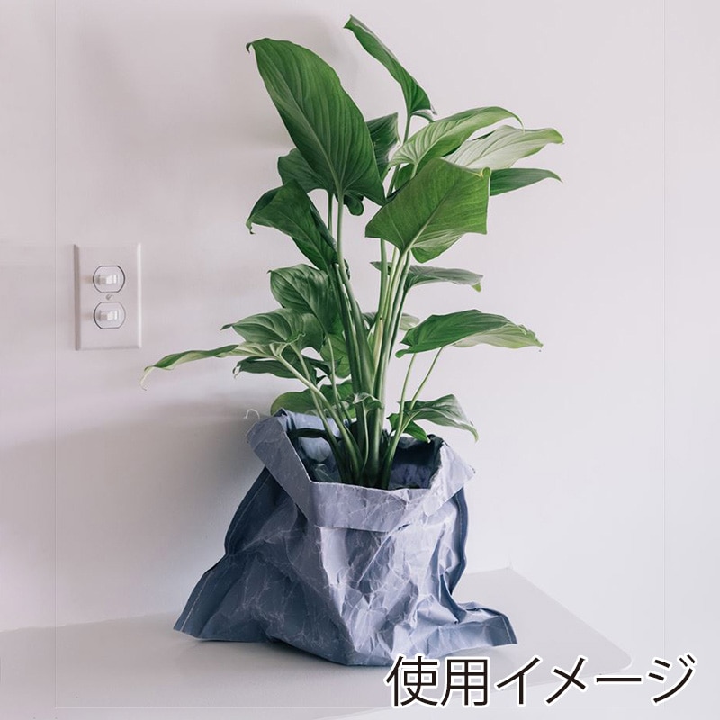 星野 紙袋 ジウバッグ 6寸 5色アソート 10枚入 314602 1箱(ご注文単位1箱)【直送品】