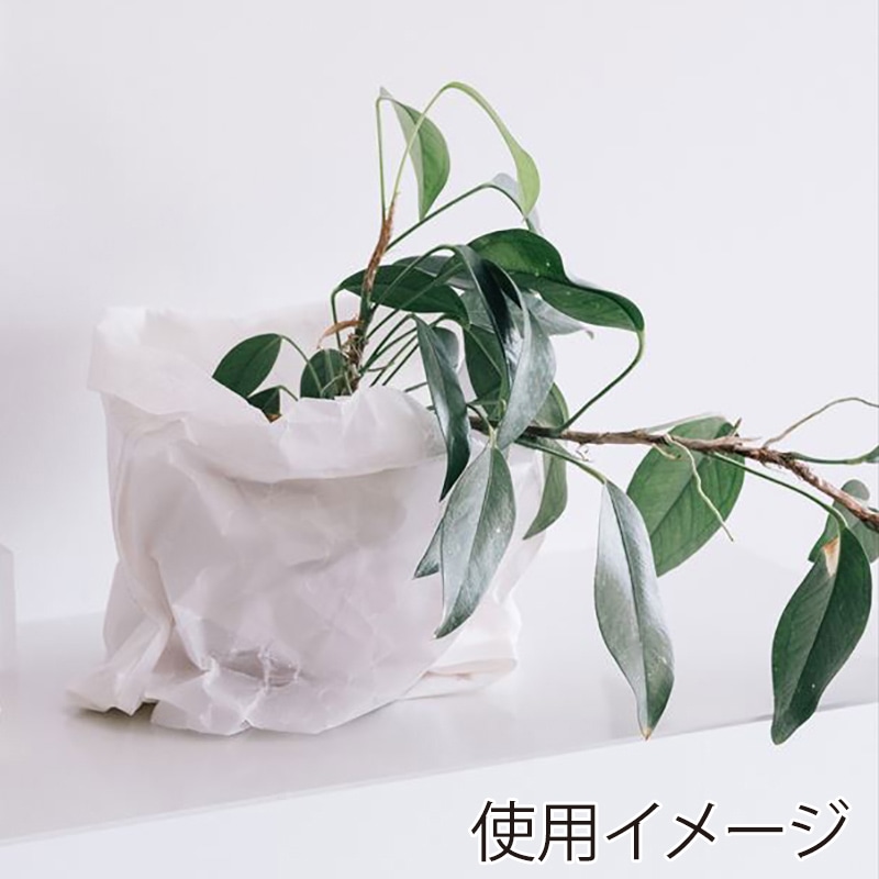 星野 紙袋 ジウバッグ 6寸 5色アソート 10枚入 314602 1箱(ご注文単位1箱)【直送品】