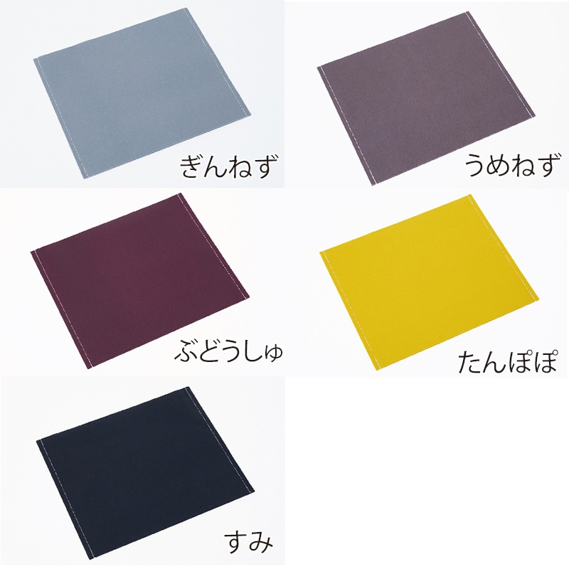 星野 紙袋　ジウバッグ 10寸　5色アソート　10枚入 314612 1箱（ご注文単位1箱）【直送品】