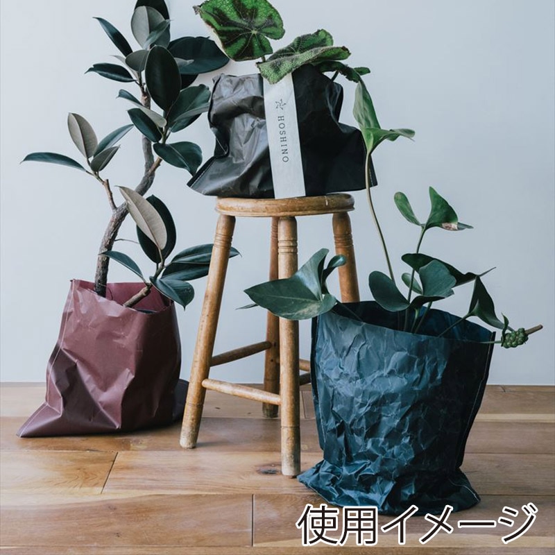 星野 紙袋 ジウバッグ 10寸 5色アソート 10枚入 314612 1箱(ご注文単位1箱)【直送品】