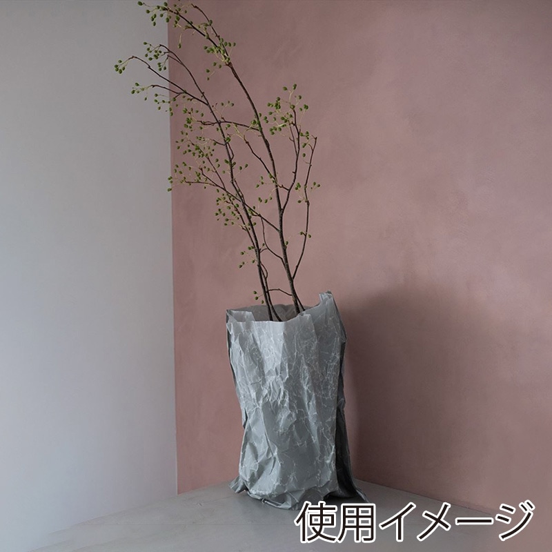 星野 紙袋 ジウバッグ 10寸 5色アソート 10枚入 314612 1箱(ご注文単位1箱)【直送品】