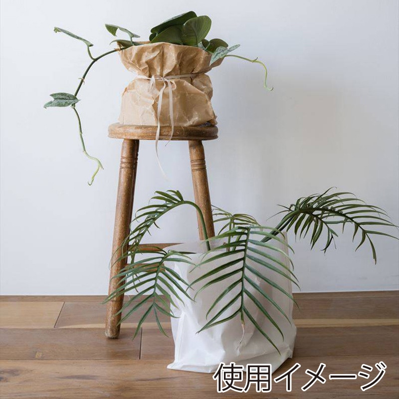 星野 紙袋　ロカバッグ 10寸　2色アソート　10枚入 314611 1箱（ご注文単位1箱）【直送品】