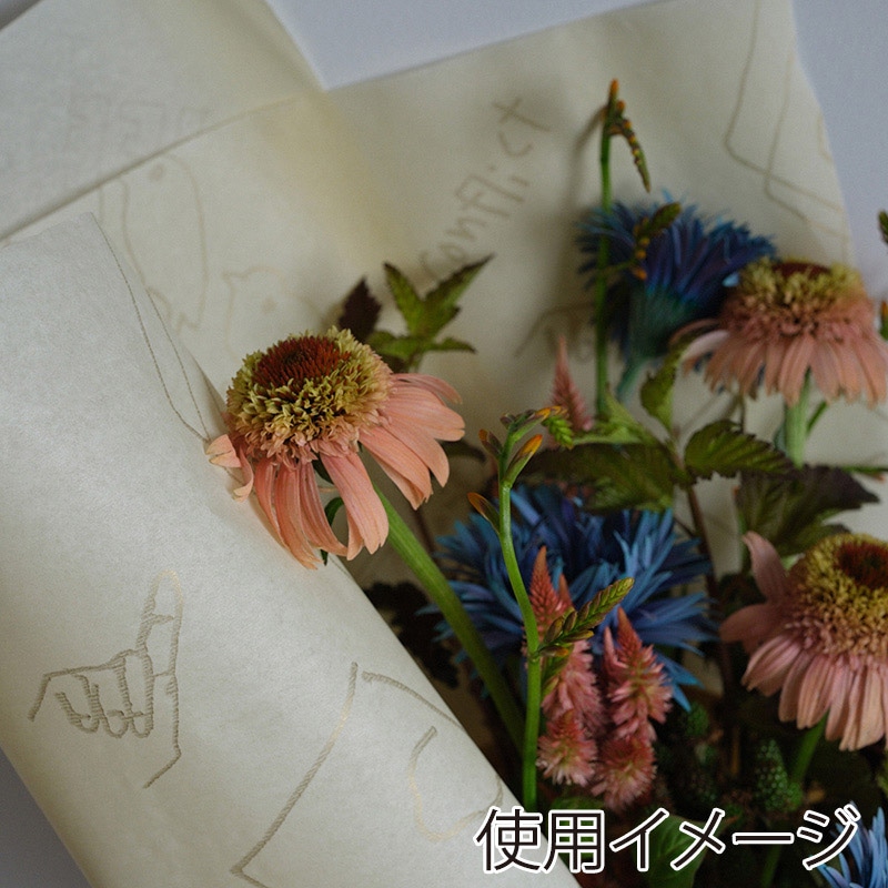 星野 ラッピングペーパー モーギ #06 ウ゛ァニラホワイト 331816 1本(ご注文単位1本)【直送品】