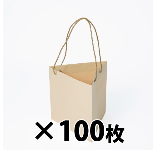 星野 手提げ紙袋 キャリーバッグ K-TM 02 ベージュ 314084 100枚/束(ご注文単位1束)【直送品】