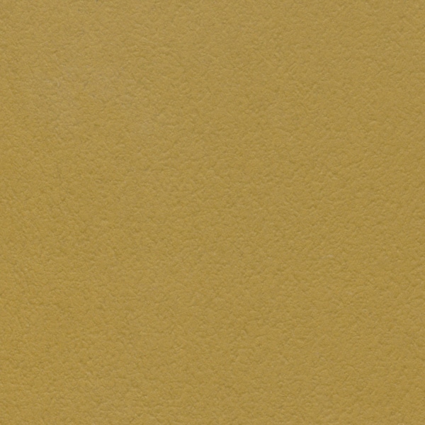 星野 プレーンカード M 6.キャメル 323346 1パック（ご注文単位1パック）【直送品】