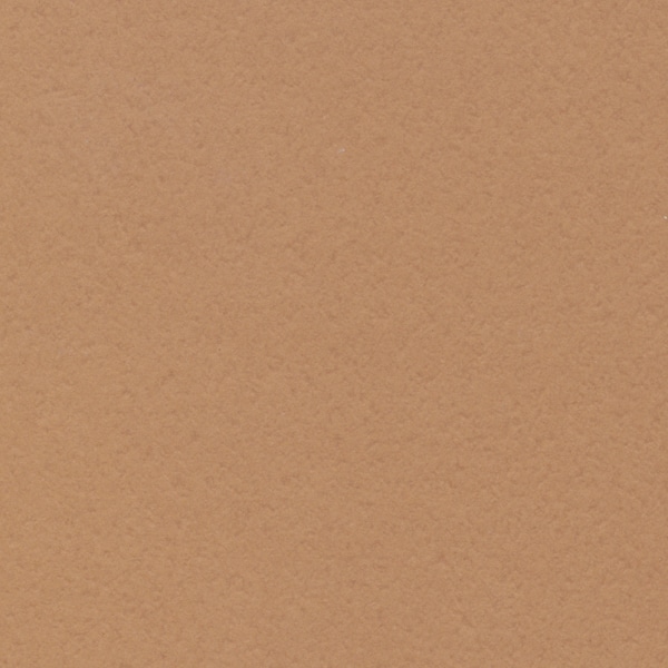 星野 プレーンカード L 5.ブリック 323355 1パック(ご注文単位1パック)【直送品】