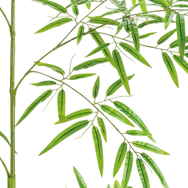 アルファ バンブーツリー 180cm TT2-4014 1本(ご注文単位1本)【直送品】