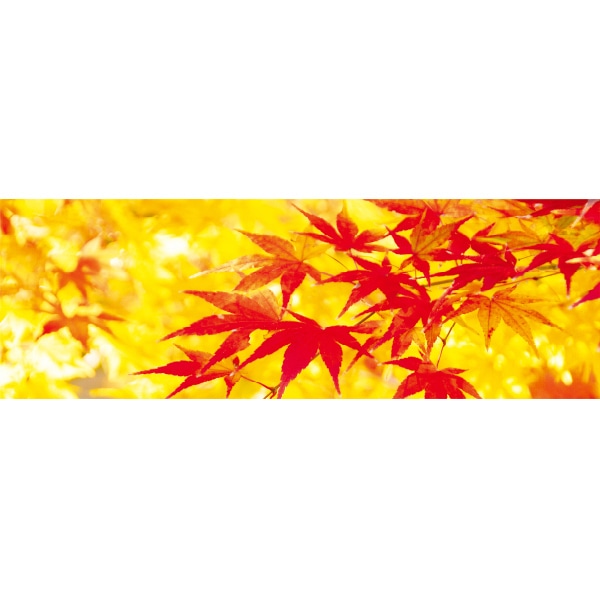 アルファ ラウンドシート もみじ DG9-0083 1枚(ご注文単位1枚)【直送品】