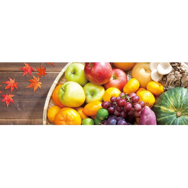 アルファ ラウンドシート 秋の味覚 DG9-0085 1枚(ご注文単位1枚)【直送品】