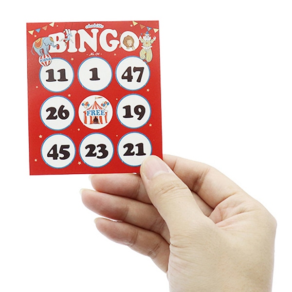 アルファ ちょびっとビンゴ 48枚入 XT8-0352 1パック(ご注文単位2パック)【直送品】